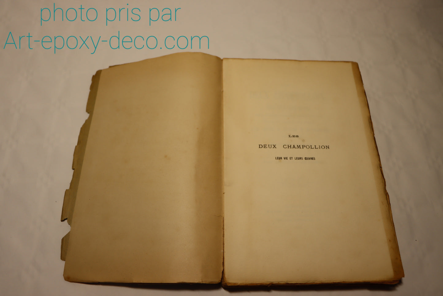 Deux Champollion leur vie et leur oeuvres 1887