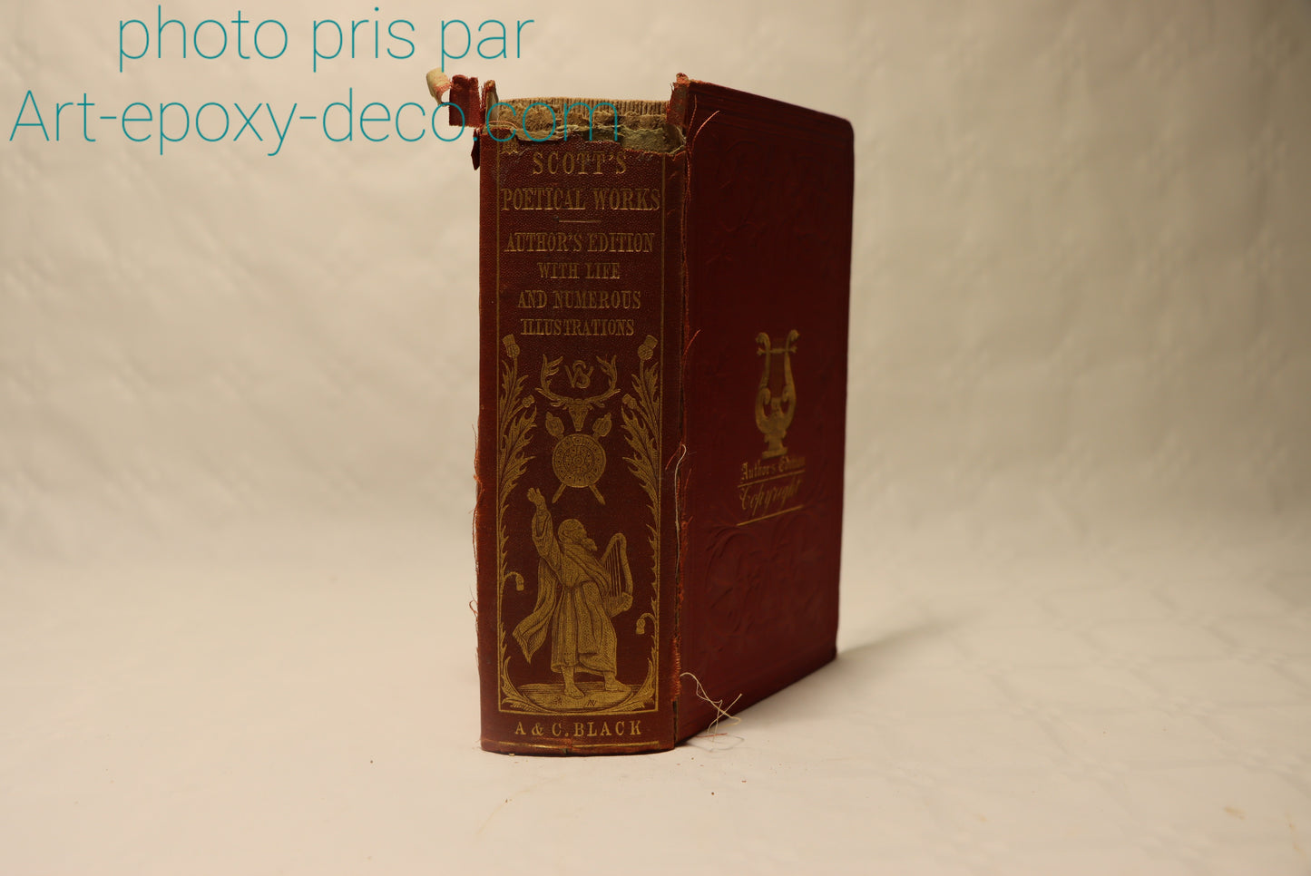 Scott's poetical works 1865