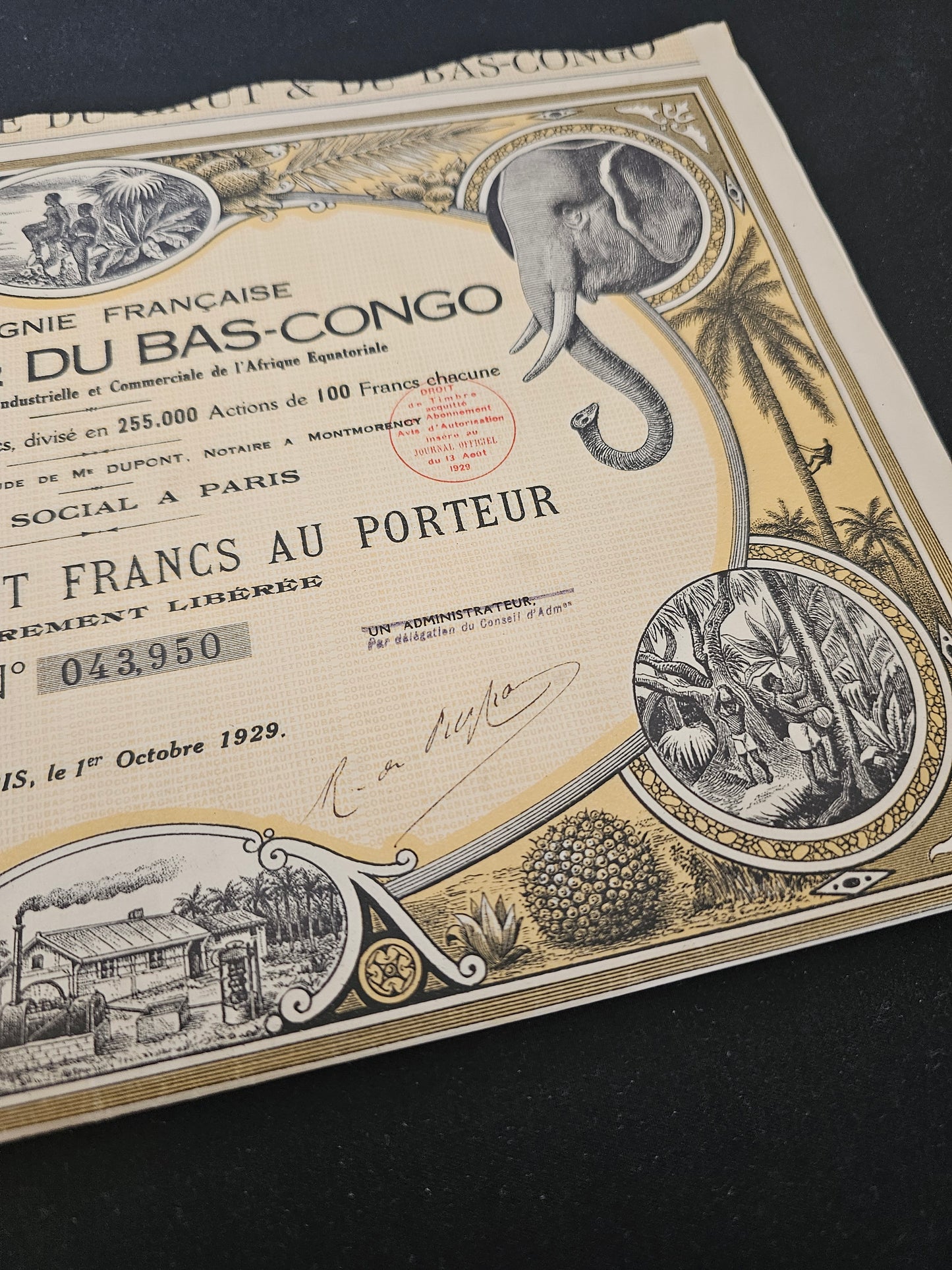French Company of Upper &amp; Lower Congo, SA Agricultural, Industrial &amp; Commercial of Equatorial Africa